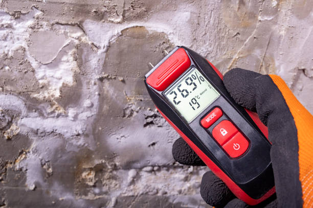 Best Fast Mold Removal  in Naugatuck, CT