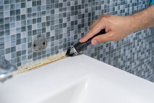 Best Mold Damage Repair  in Naugatuck, CT