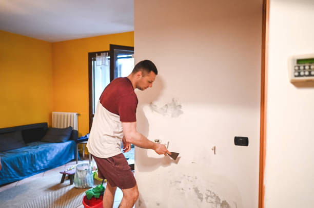 Best Mold Removal Near Me  in Naugatuck, CT