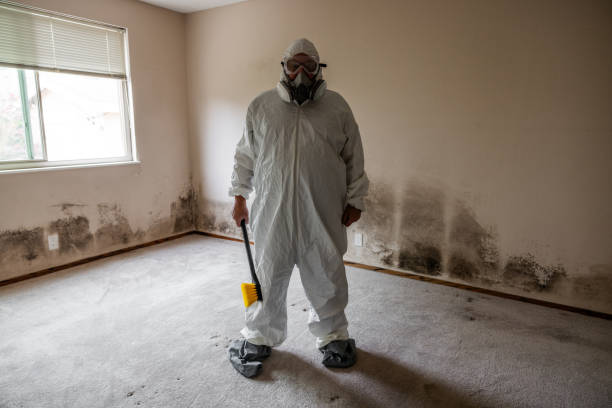 Best Mold Testing  in Naugatuck, CT